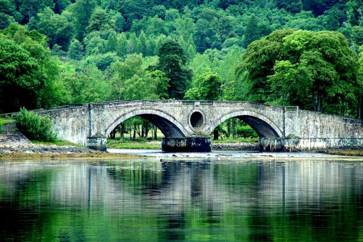 a bridge over a river in a forest