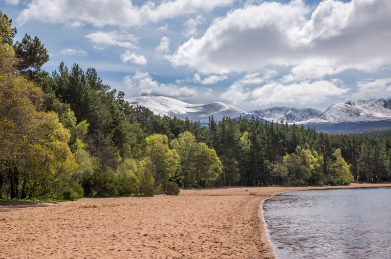 Loch Morlich Cairngorms