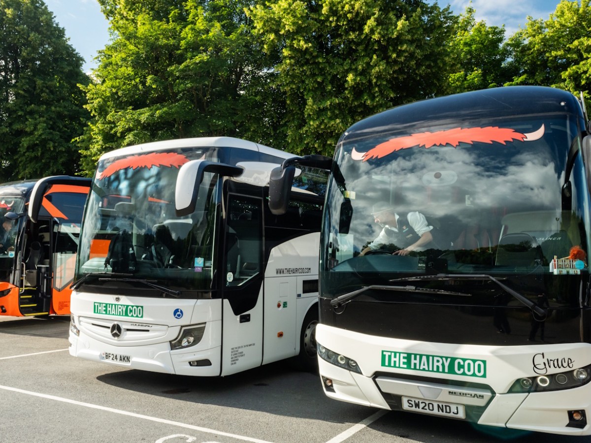 3 Hairy Coo coaches ready for Scotland tours